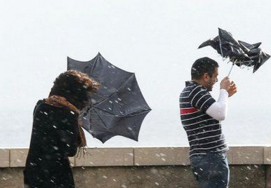 Image / illustration